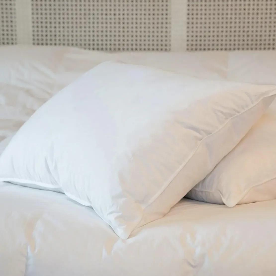 SeleniaOreiller 90% duvet