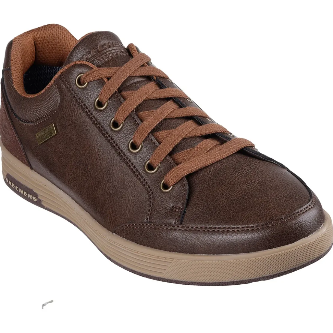 SkechersBasket homme Cavell - sparkman Chocolat