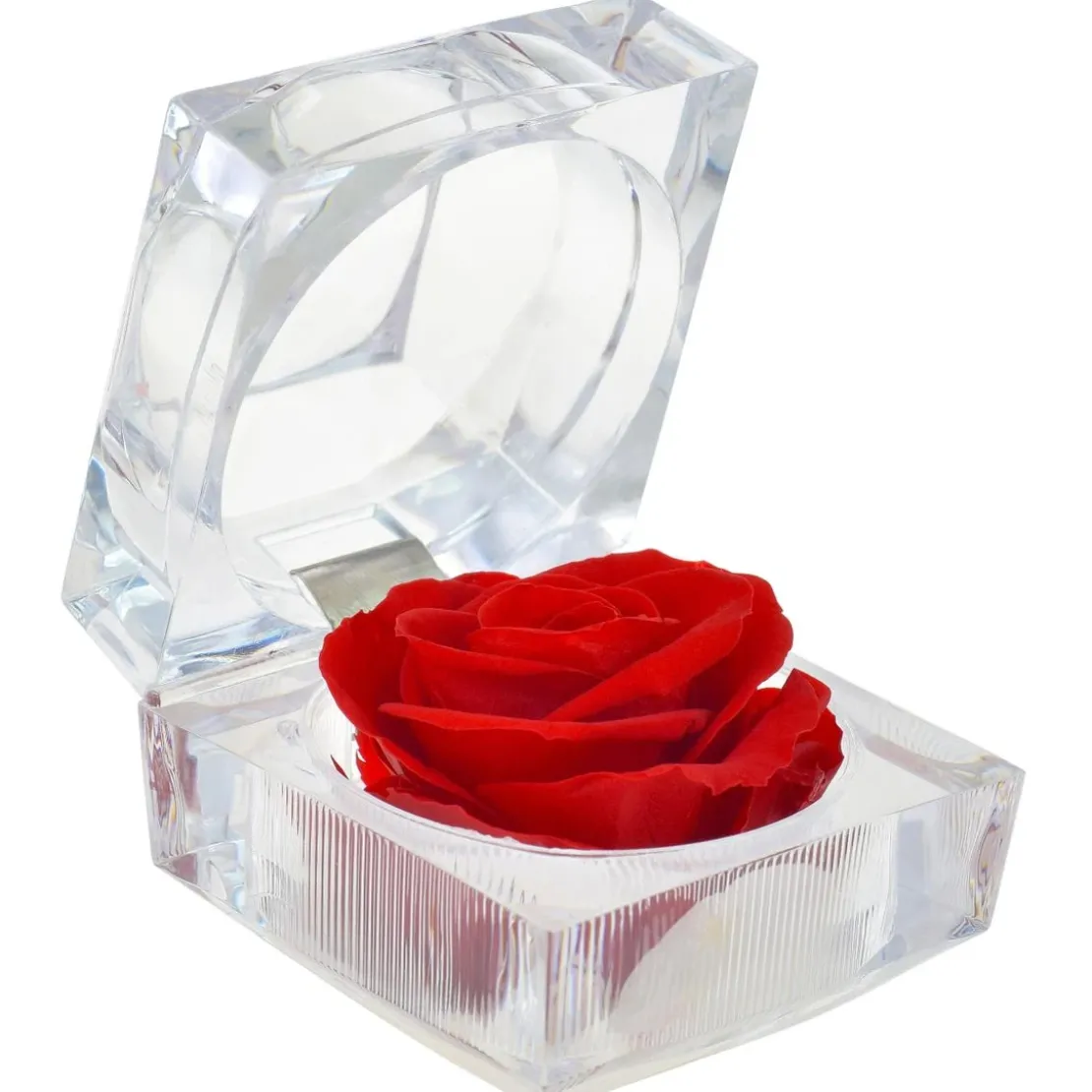 So Charm MontresBoite à Bijoux So Charm Rose eternelle rouge