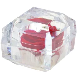 So Charm MontresBoite à Bijoux So Charm Rose eternelle rouge