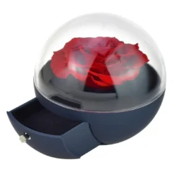 So Charm MontresCoffret à bijoux rose éternelle rouge sous forme de globe - So Charm