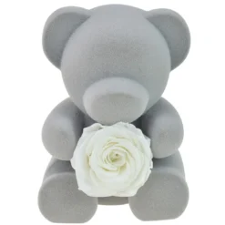 So Charm MontresCoffret à bijoux Ourson et rose éternelle blanche - So Charm