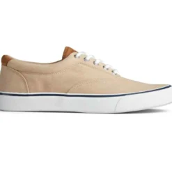 SperryChaussures Vulcanisée Pour Homme STRIPER II CVO - Coton beige