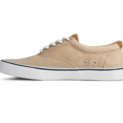 SperryChaussures Vulcanisée Pour Homme STRIPER II CVO - Coton beige