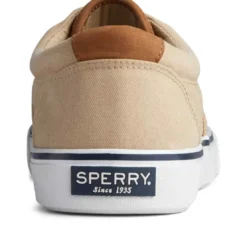SperryChaussures Vulcanisée Pour Homme STRIPER II CVO - Coton beige