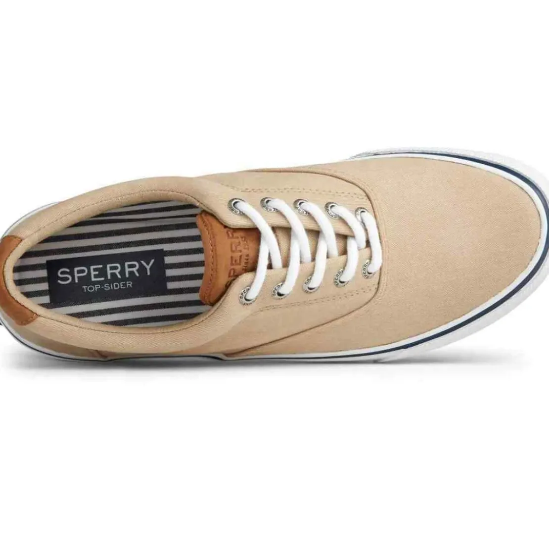 SperryChaussures Vulcanisée Pour Homme STRIPER II CVO - Coton beige