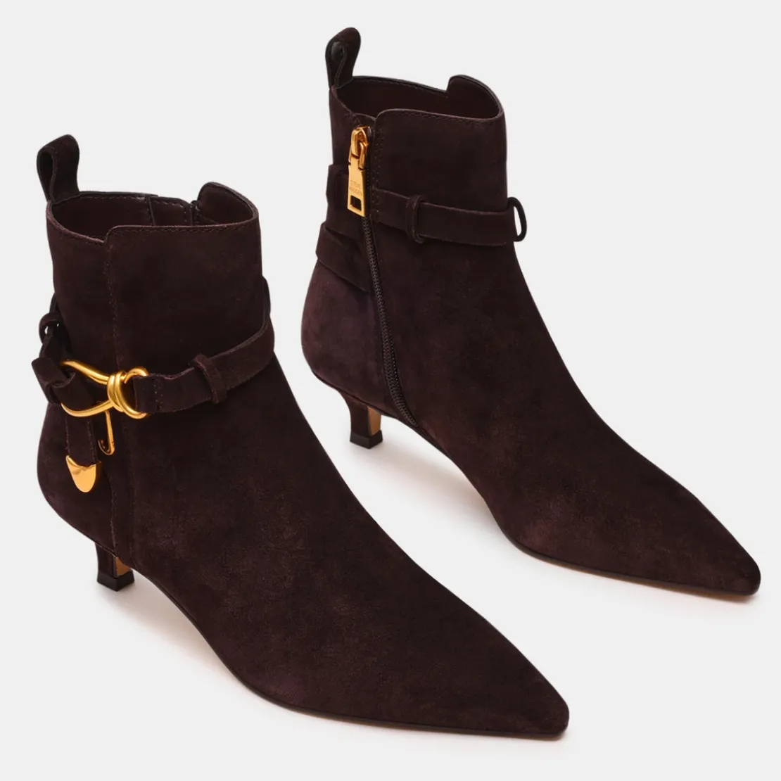 Steve MaddenBottes femme Marron