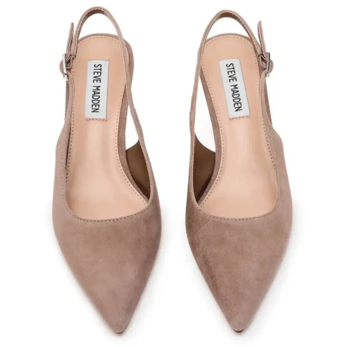 Steve MaddenEscarpins femme Taupe