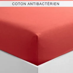 3S. x TertioDrap housse coton Sanitized® -Corail