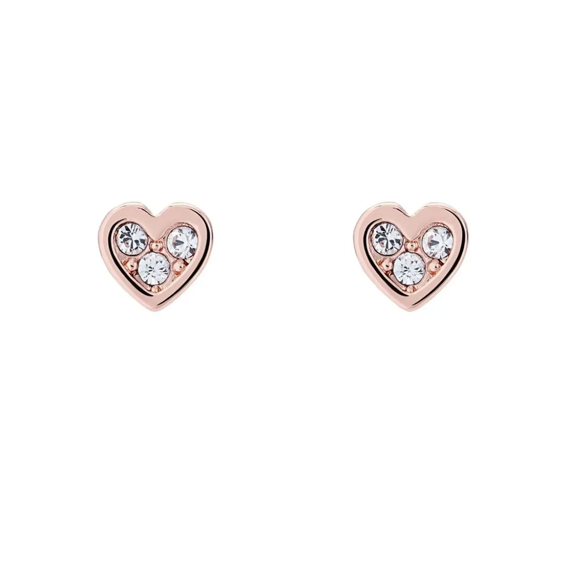 Ted BakerBoucles oreilles Femme TBJ2398-24-02