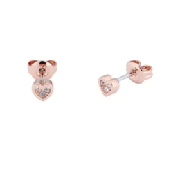 Ted BakerBoucles oreilles Femme TBJ2398-24-02