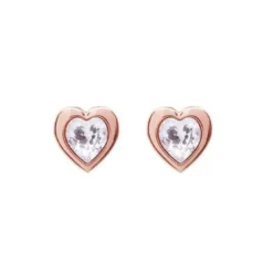 Ted BakerBoucles oreilles Femme TBJ1654-24-02