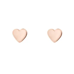 Ted BakerBoucles oreilles Femme TBJ872-24-03