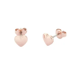 Ted BakerBoucles oreilles Femme TBJ872-24-03