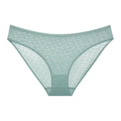 TriumphCulotte Transparente- Signature Sheer Tai