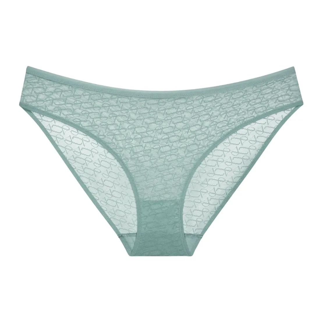 TriumphCulotte Transparente- Signature Sheer Tai